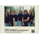 Publicity Press Packs & Promotional Photographs